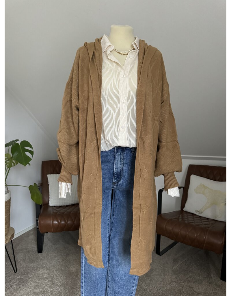 DANA FLOREA Vest Mila met Capuchon
