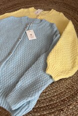 DANA FLOREA Vest Fenna Lichtgeel