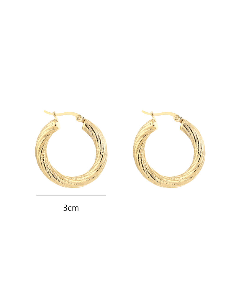 DANA FLOREA Luxe Hoop Oorbellen