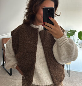 DANA FLOREA Gilet Nora Bruin