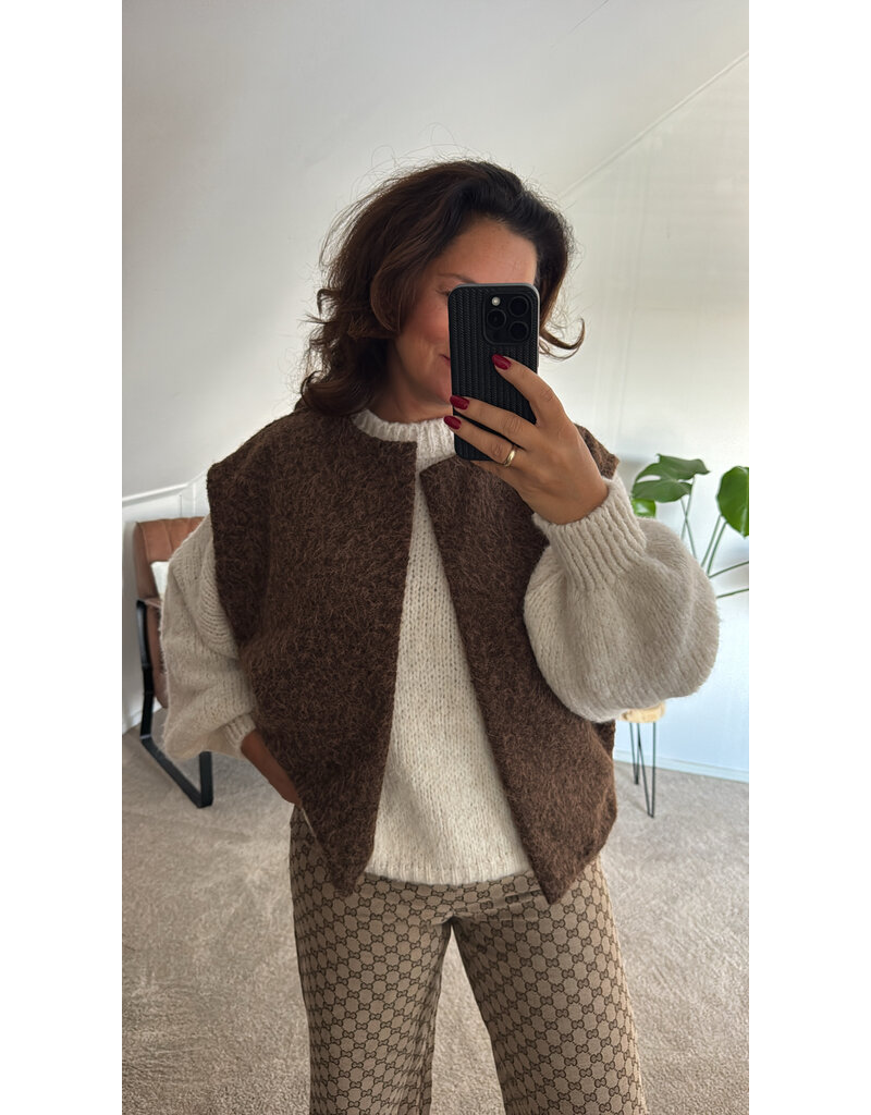 DANA FLOREA Gilet Nora Bruin