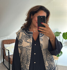 DANA FLOREA Gilet Ivy Beige/Blauw