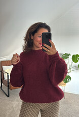 DANA FLOREA Trui Olivia Bordeaux