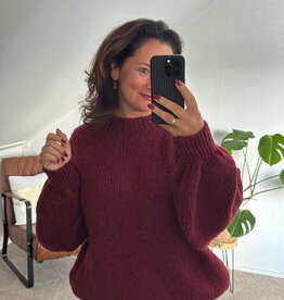 DANA FLOREA Trui Olivia Bordeaux