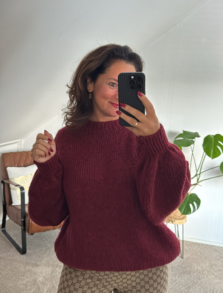 DANA FLOREA Trui Olivia Bordeaux
