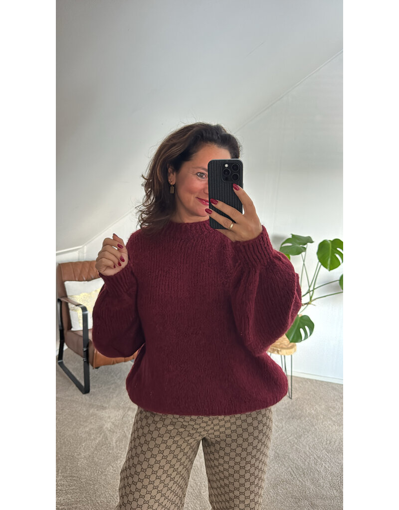 DANA FLOREA Trui Olivia Bordeaux