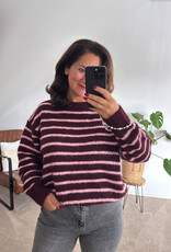 DANA FLOREA Trui Fabienne Burgundy/Roze