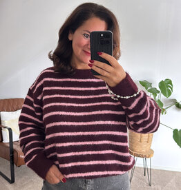 DANA FLOREA Trui Fabienne Burgundy/Roze