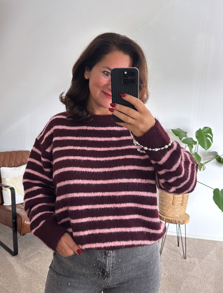 DANA FLOREA Trui Fabienne Burgundy/Roze