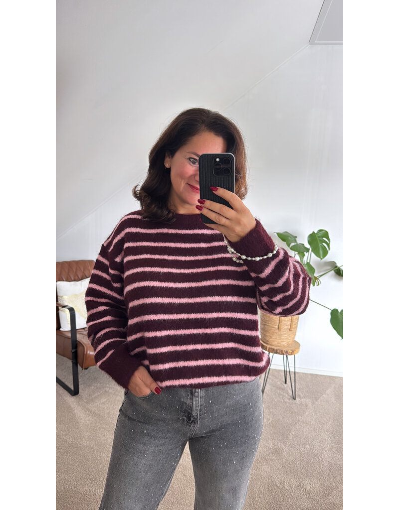 DANA FLOREA Trui Fabienne Burgundy/Roze