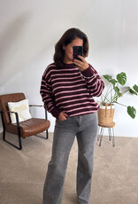 DANA FLOREA Trui Fabienne Burgundy/Roze