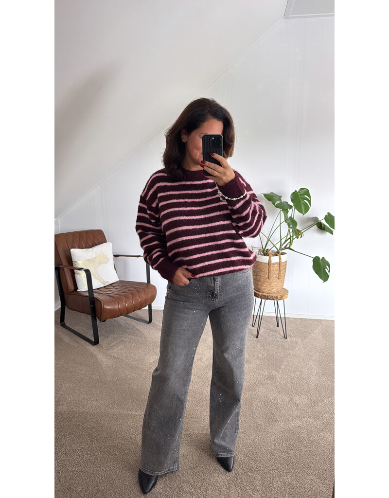 DANA FLOREA Trui Fabienne Burgundy/Roze