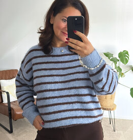 DANA FLOREA Trui Fabienne Blue/Coffee