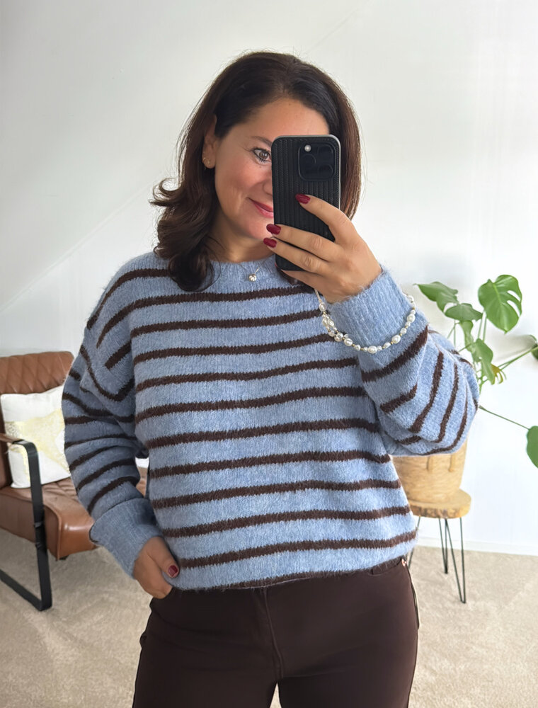 DANA FLOREA Trui Fabienne Blue/Coffee