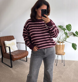 DANA FLOREA Wide Leg Jeans Licht Grijs met Studs