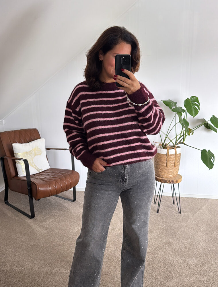 DANA FLOREA Wide Leg Jeans Licht Grijs met Studs