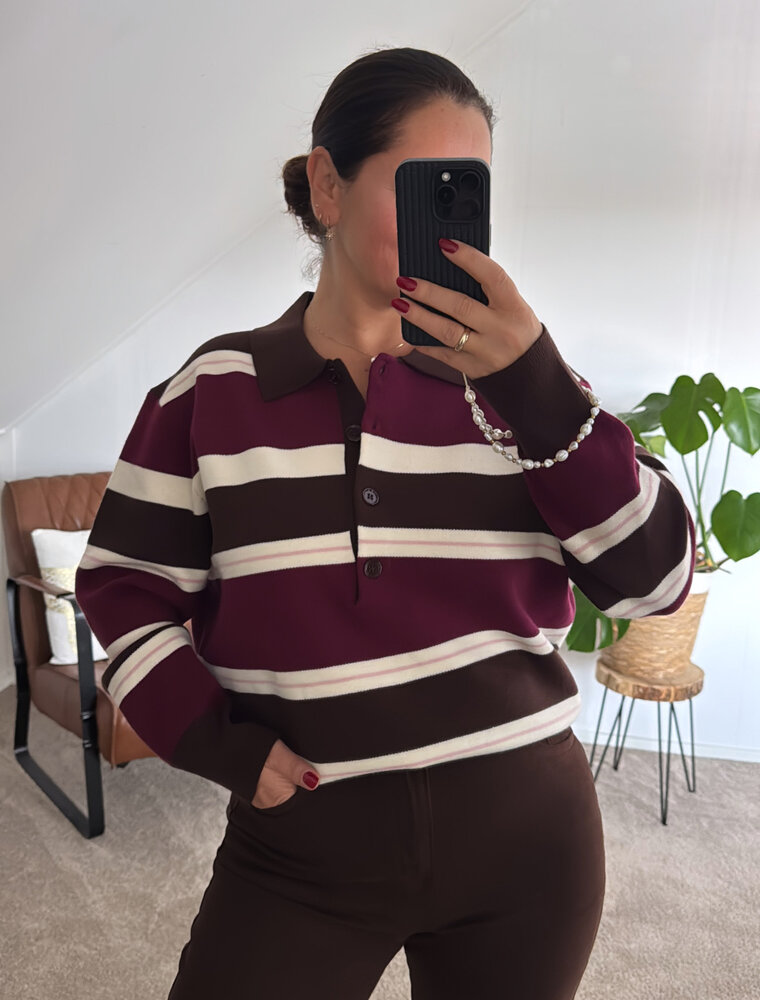 DANA FLOREA Polo Sweater Liv Bruin/Bordeaux