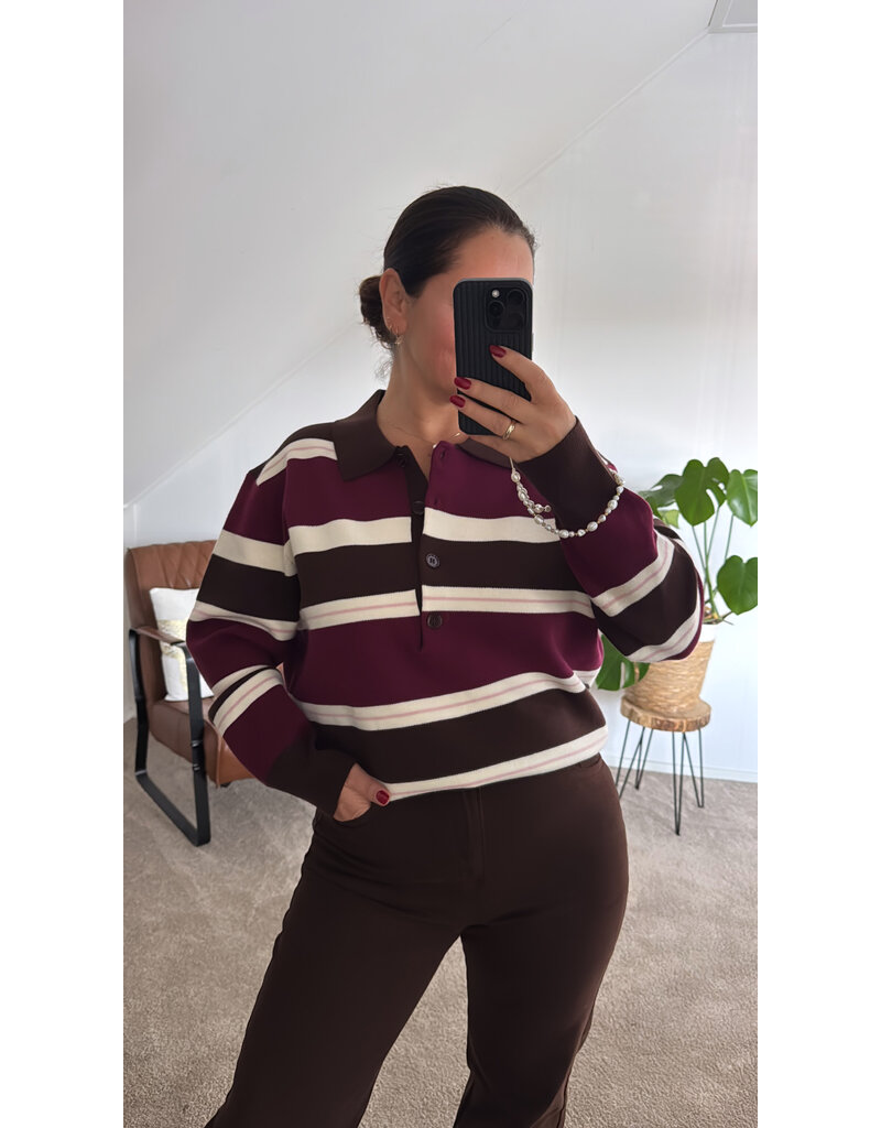 DANA FLOREA Polo Sweater Liv Bruin/Bordeaux