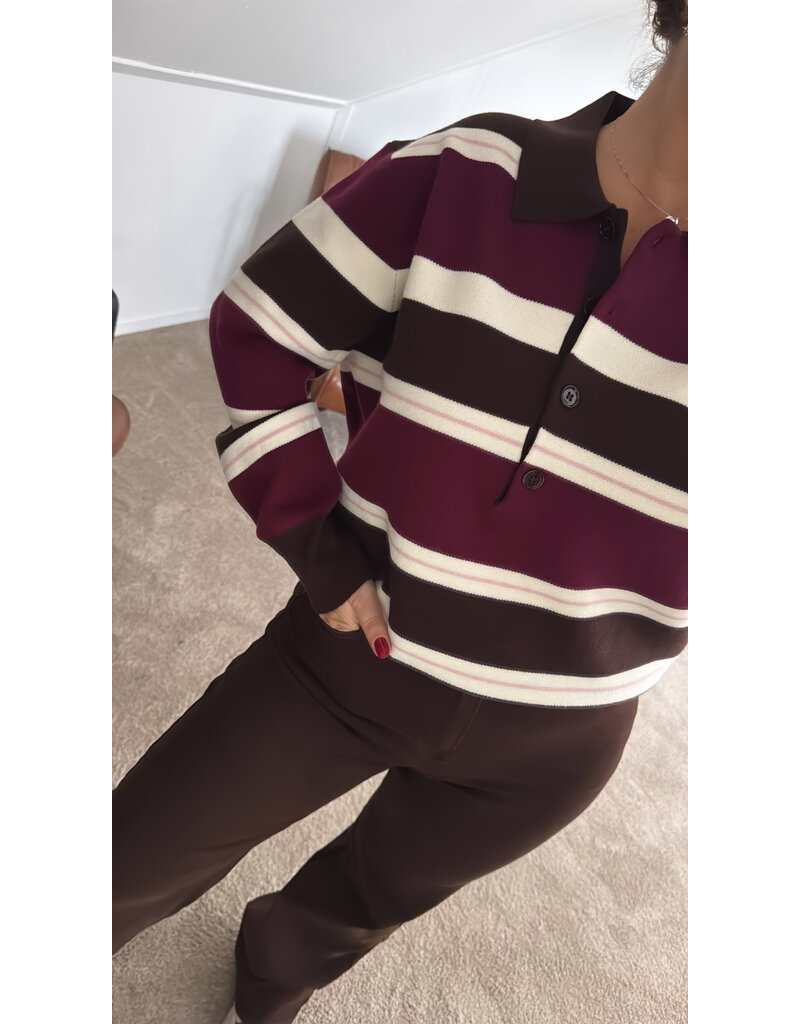 DANA FLOREA Polo Sweater Liv Bruin/Bordeaux