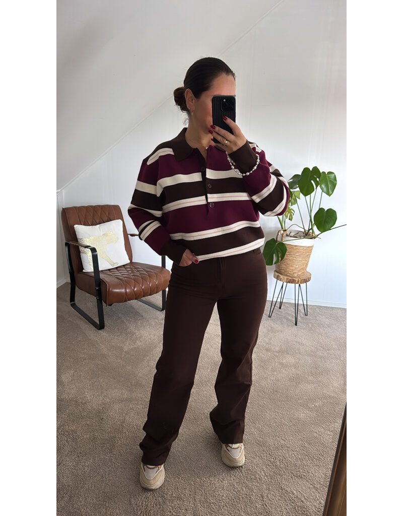 DANA FLOREA Polo Sweater Liv Bruin/Bordeaux