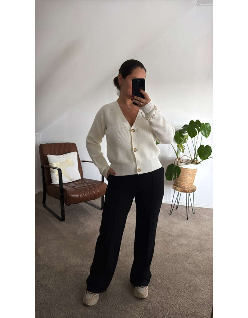 DANA FLOREA Broek Amber Black