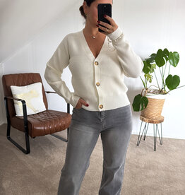 DANA FLOREA Wide Leg Jeans Light Grey