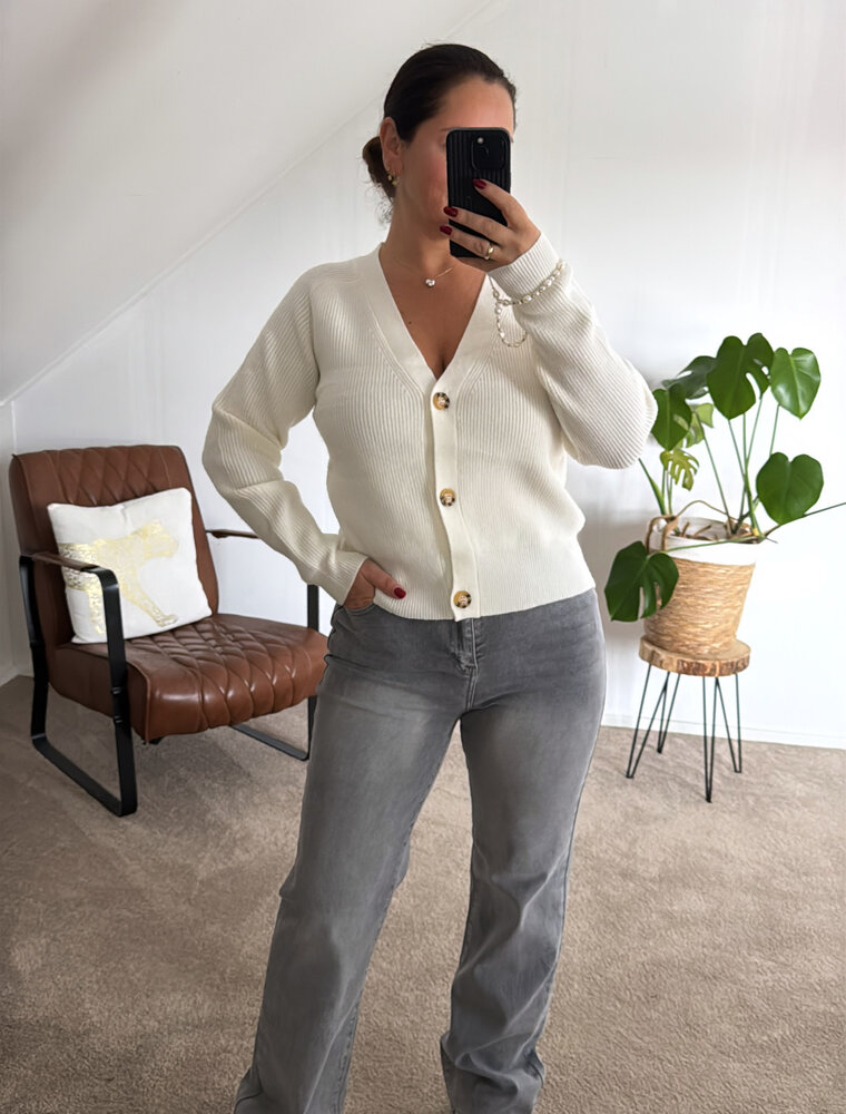 DANA FLOREA Wide Leg Jeans Light Grey