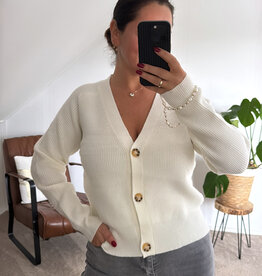 DANA FLOREA Vest Lauren