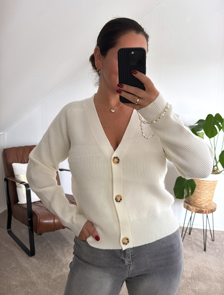 DANA FLOREA Vest Lauren