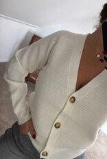 DANA FLOREA Vest Lauren