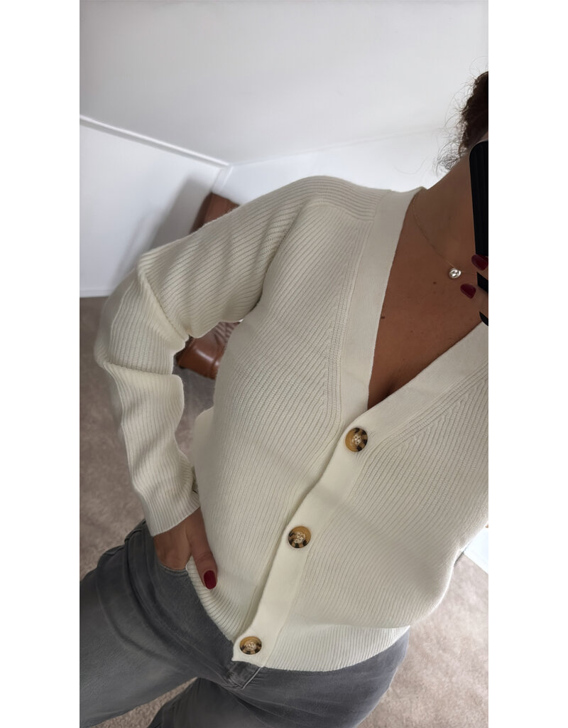 DANA FLOREA Vest Lauren