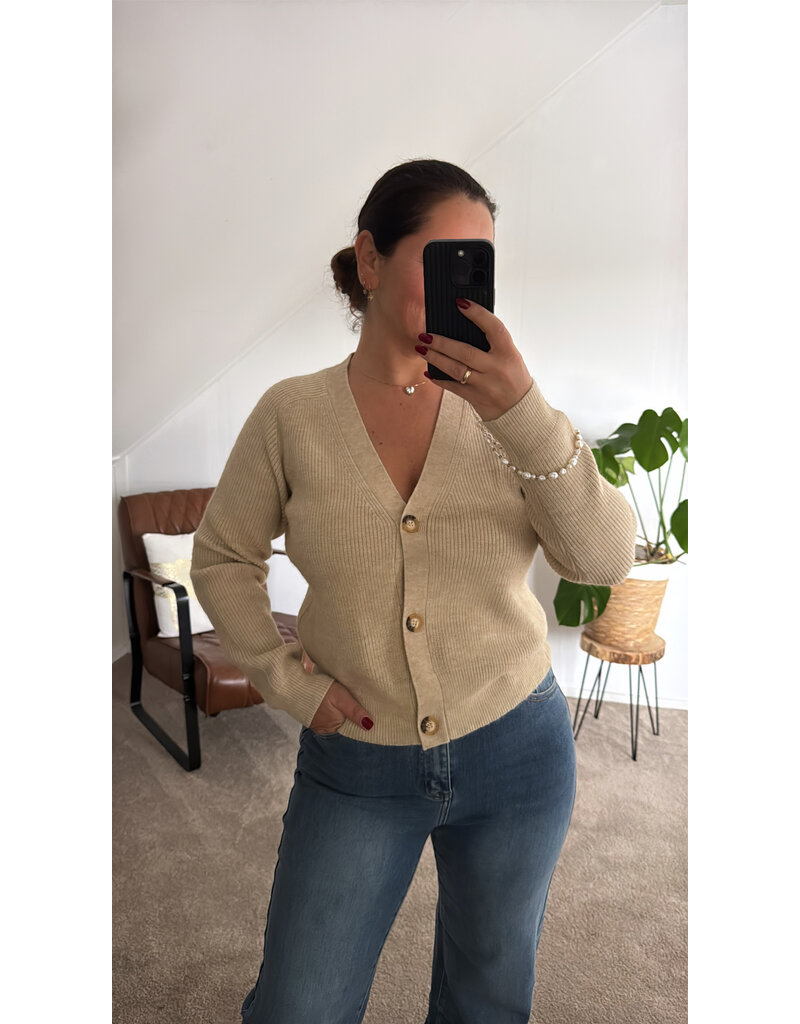 DANA FLOREA Vest Lauren