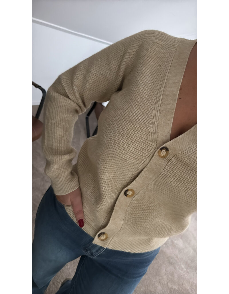 DANA FLOREA Vest Lauren