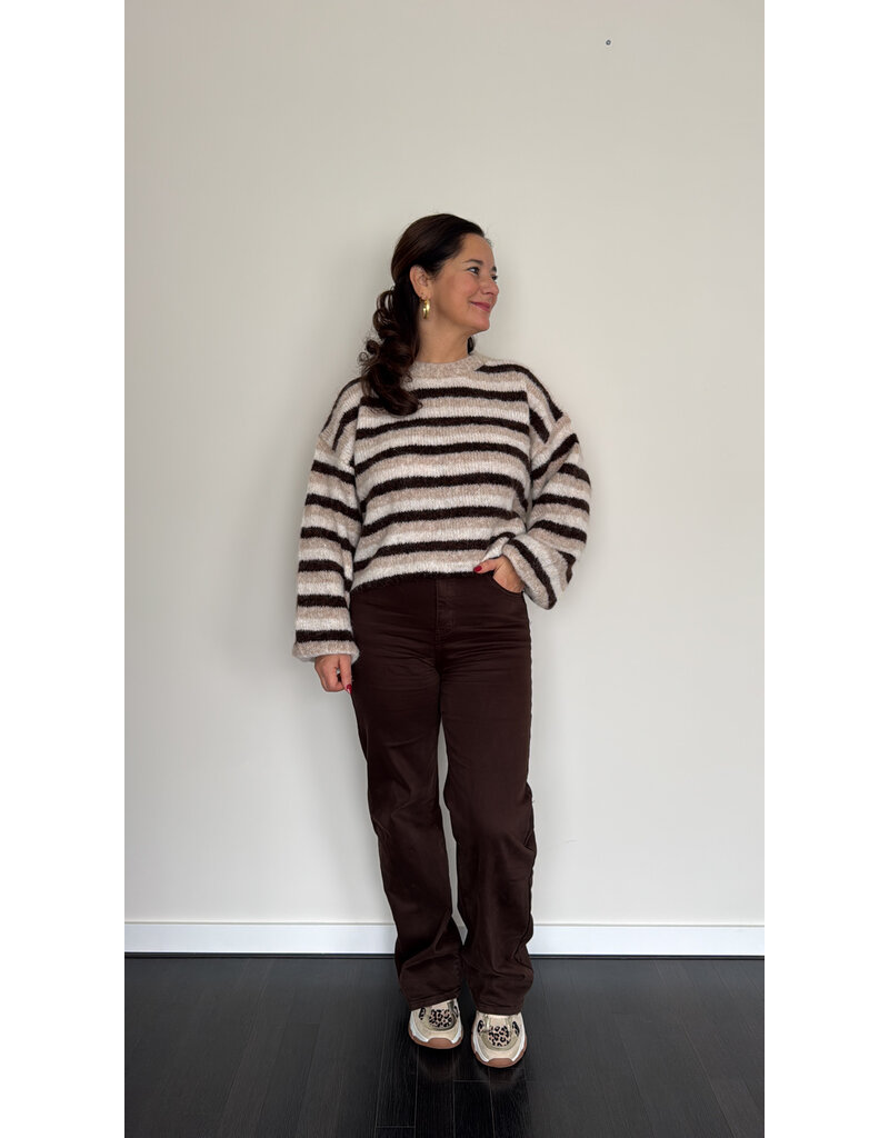 DANA FLOREA Trui Louise Taupe