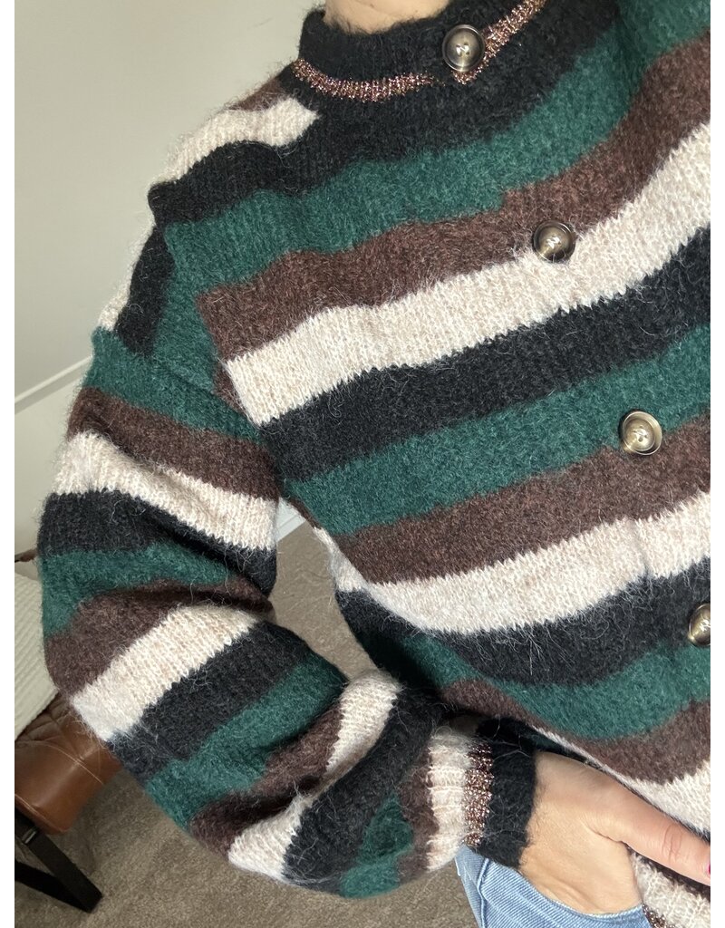 DANA FLOREA Vest Feline