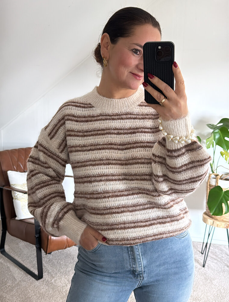 DANA FLOREA Trui Lara Beige/Bruin