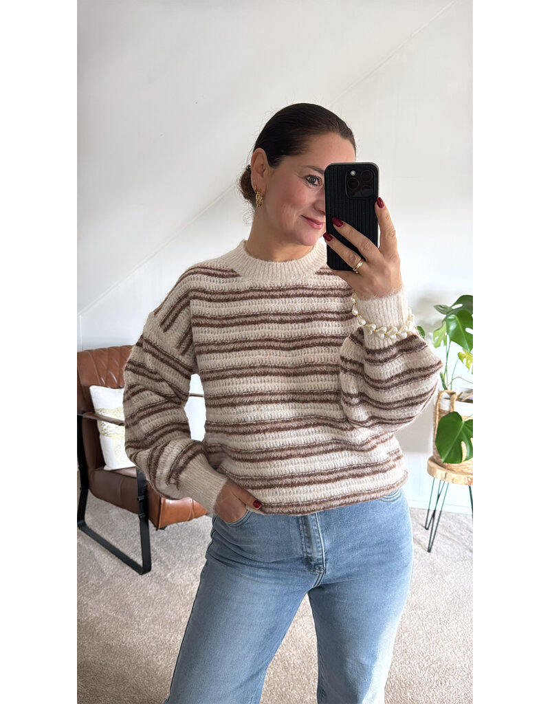 DANA FLOREA Trui Lara Beige/Bruin