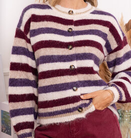 DANA FLOREA Vest Jasmijn Beige/Violet/Bordeaux