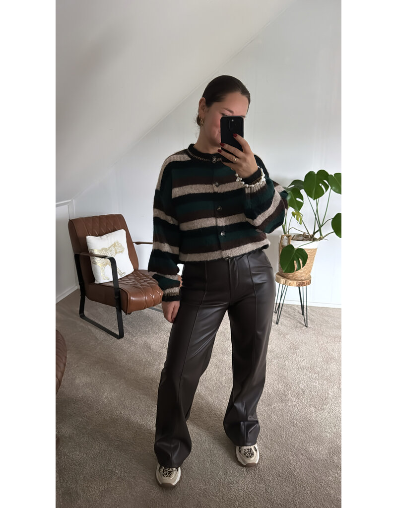 DANA FLOREA Leather Look Broek Choco