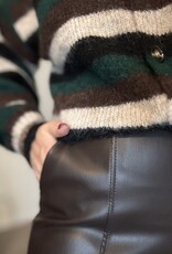 DANA FLOREA Leather Look Broek Choco