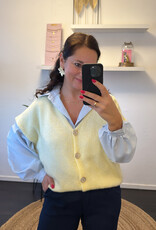 DANA FLOREA Gilet Chelsea Geel