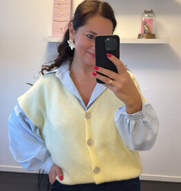 DANA FLOREA Gilet Chelsea Geel