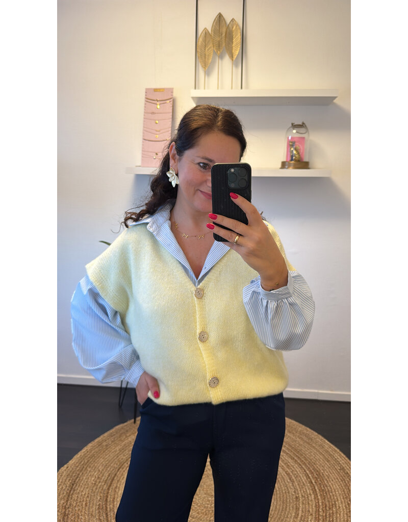 DANA FLOREA Gilet Chelsea Geel