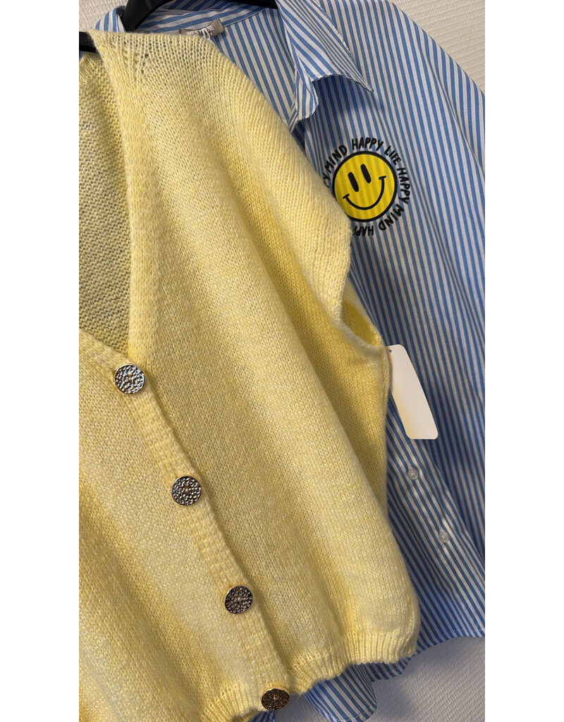 DANA FLOREA Gilet Chelsea Geel