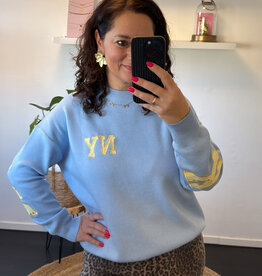 DANA FLOREA Trui New York Blauw