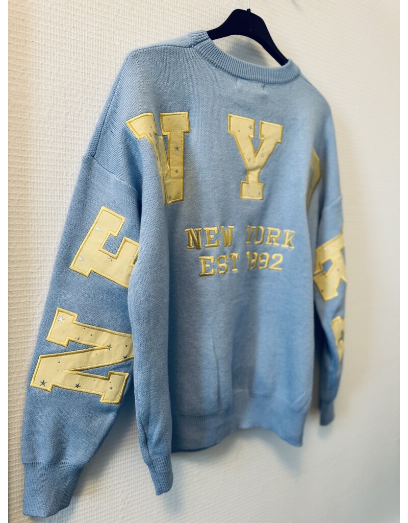 DANA FLOREA Trui New York Blauw