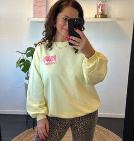 DANA FLOREA Sweater Paris Fashion Geel