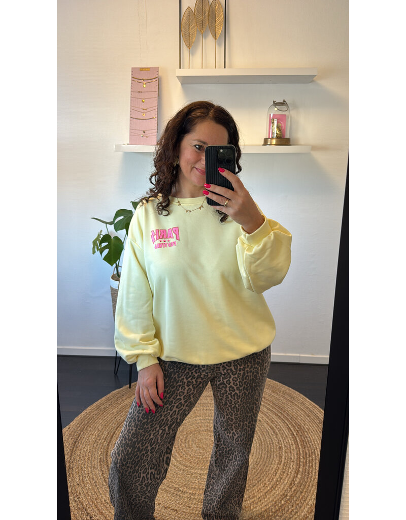 DANA FLOREA Sweater Paris Fashion Geel