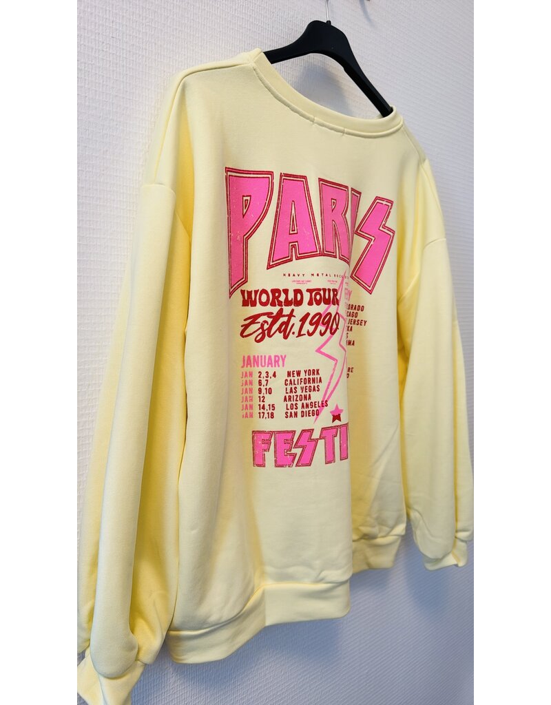 DANA FLOREA Sweater Paris Fashion Geel