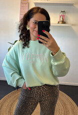 DANA FLOREA Aperitivo Sweater Mintgroen